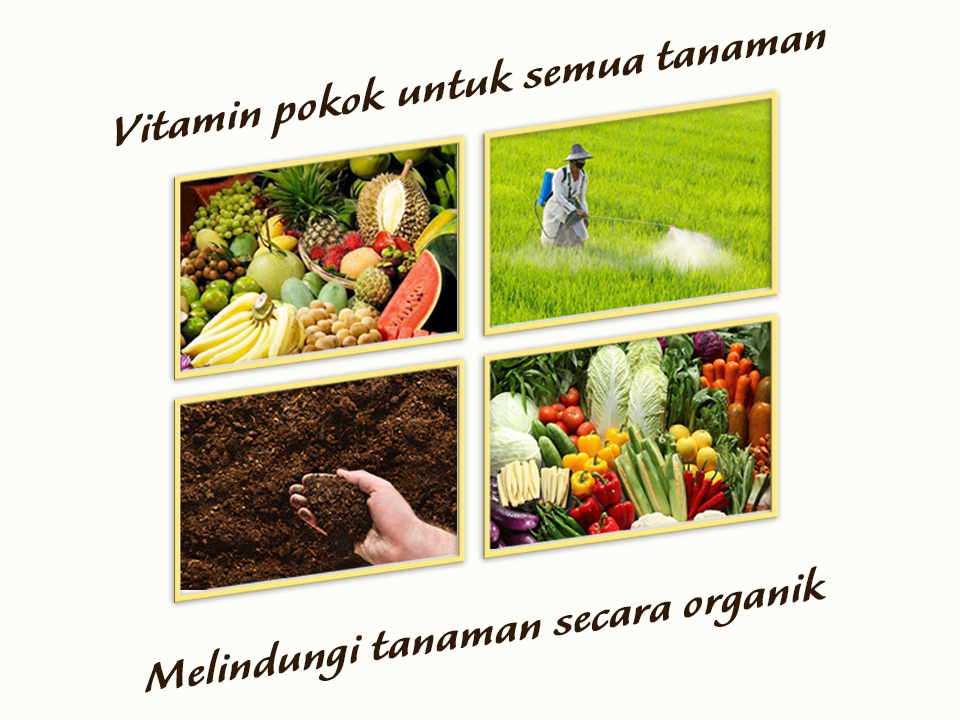 Kegunaan tanaman