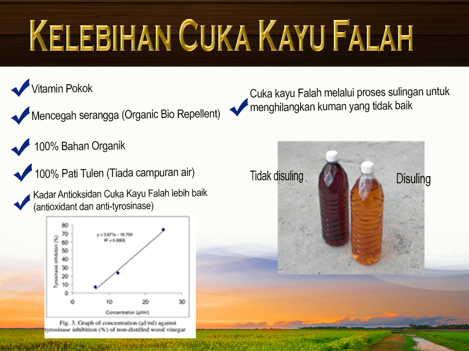 Kelebihan Cuka Kayu baru